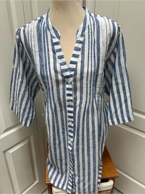 Blue and White Stripe Button-Front Blouse/Tunic